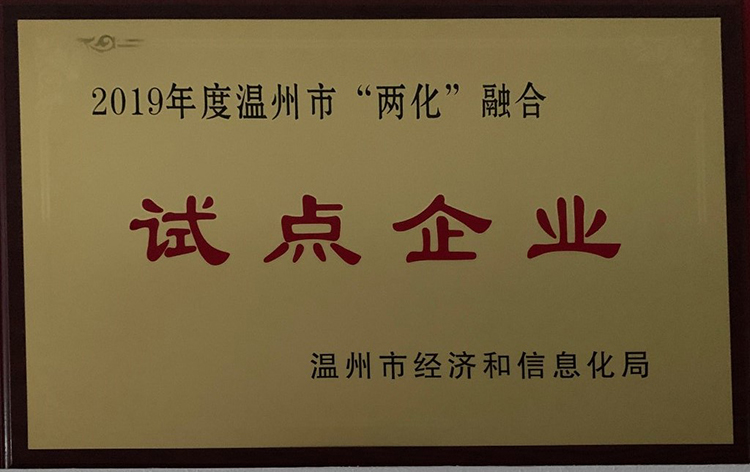 2019兩化融合試點(diǎn)企業(yè)-溫州市經(jīng)信局.jpg