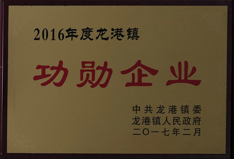 2016功勛企業(yè)-龍港鎮(zhèn).jpg